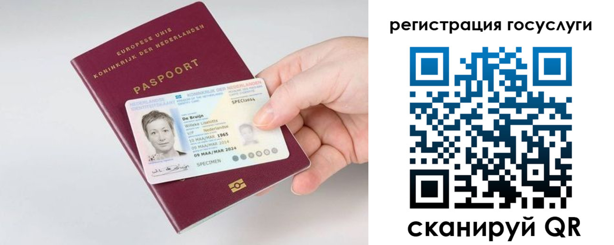 регистрация для дет. сада в Елизово