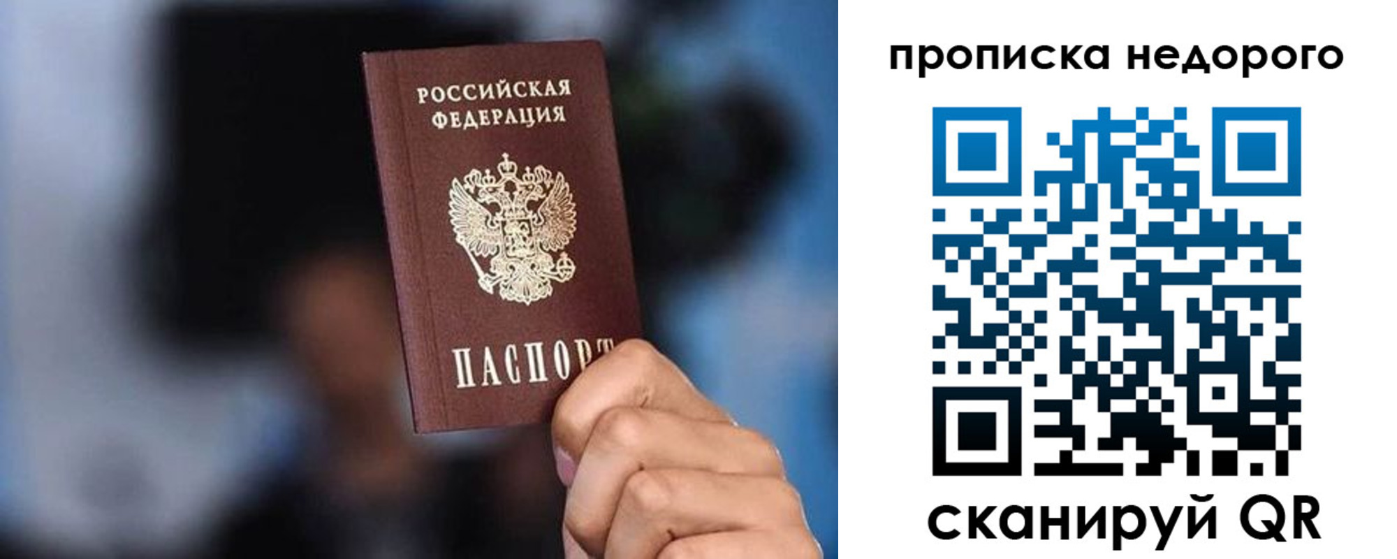 временная регистрация поиск в Елизово